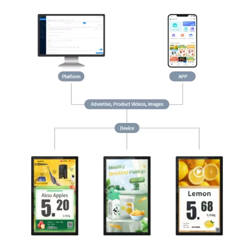Technical Architecture & Display Engineering